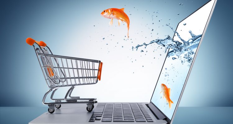 Top 6 E-Commerce Shopping Websites In Pakistan