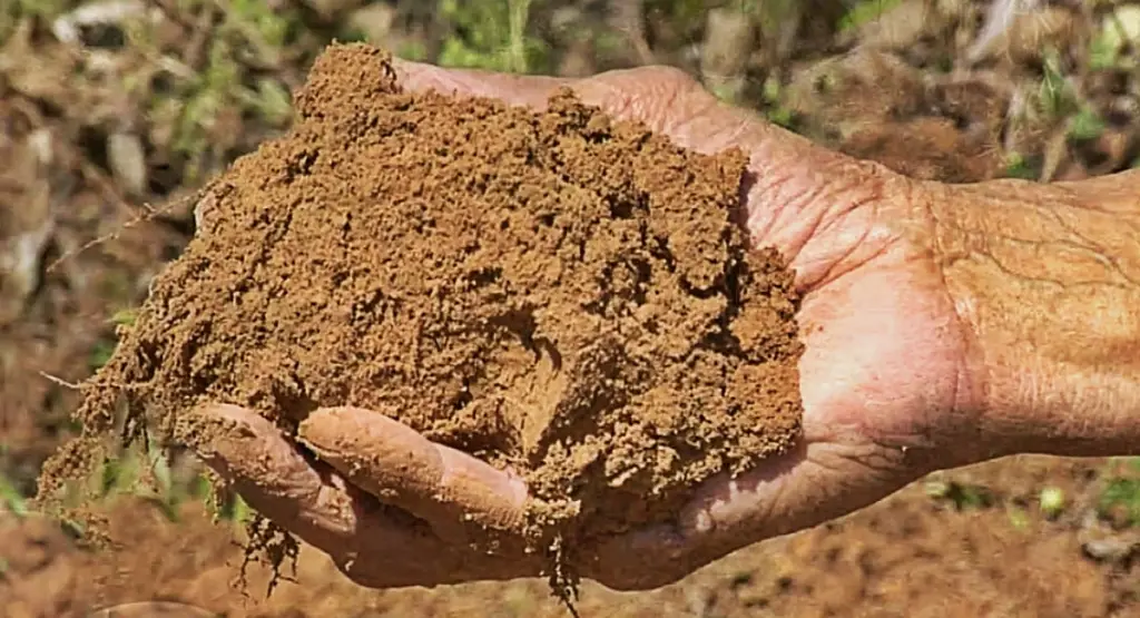 Soil characteristics