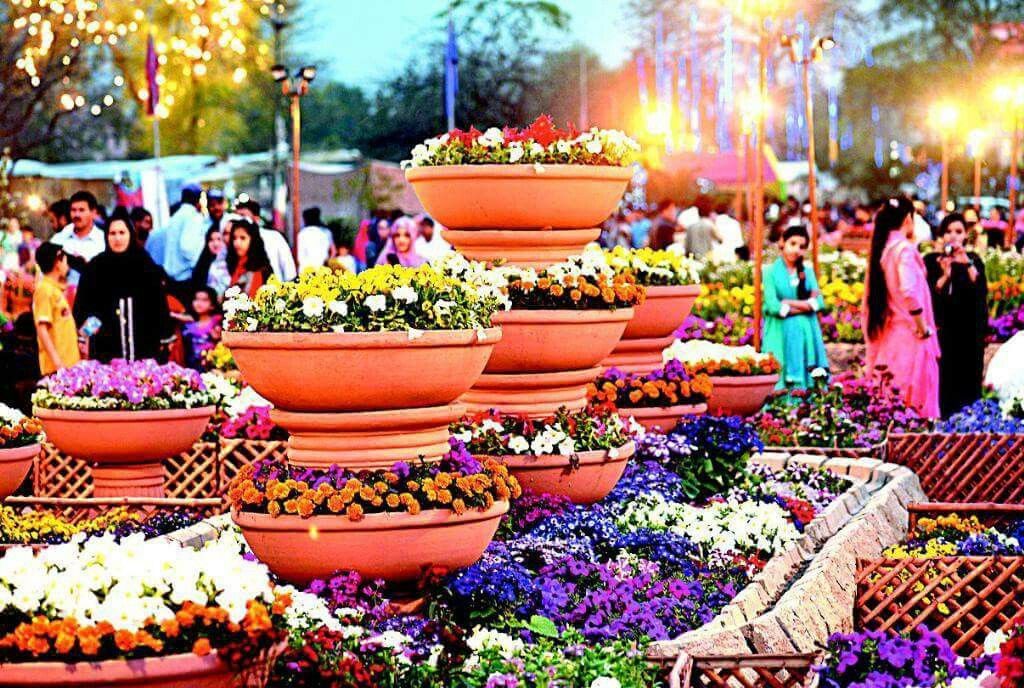 Pakistan Flower Show | City Book